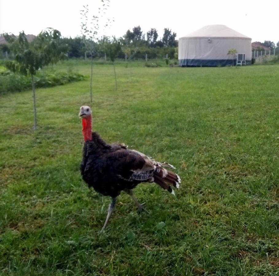 Jurtafarm Rackeve - A Nomad Luxus Ξενοδοχείο Εξωτερικό φωτογραφία