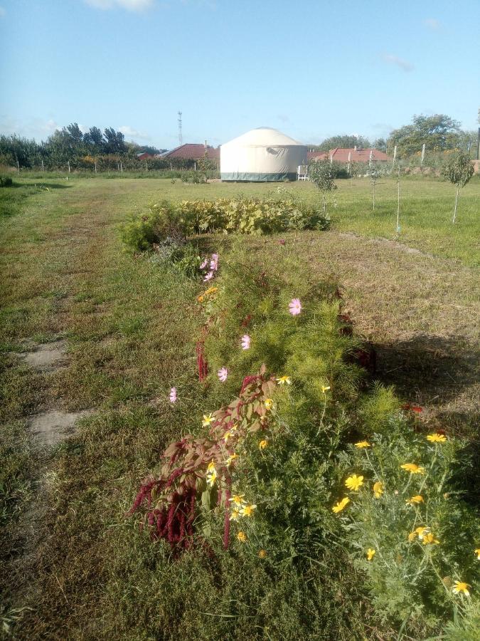 Jurtafarm Rackeve - A Nomad Luxus Ξενοδοχείο Εξωτερικό φωτογραφία